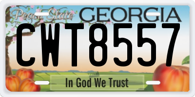 GA license plate CWT8557
