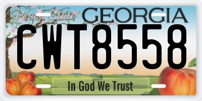 GA license plate CWT8558