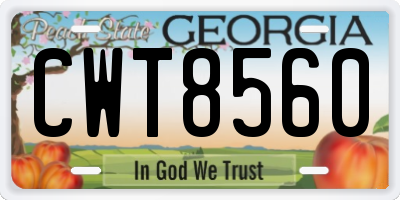 GA license plate CWT8560