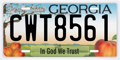GA license plate CWT8561