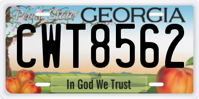 GA license plate CWT8562