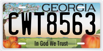 GA license plate CWT8563