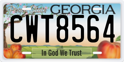 GA license plate CWT8564