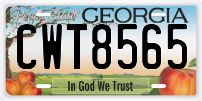 GA license plate CWT8565