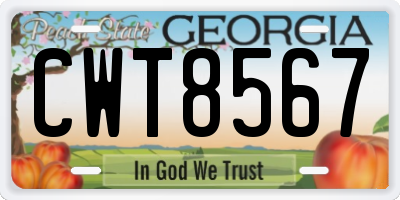 GA license plate CWT8567