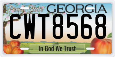 GA license plate CWT8568