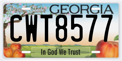 GA license plate CWT8577