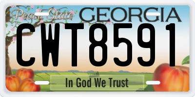GA license plate CWT8591