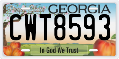 GA license plate CWT8593