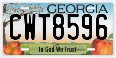 GA license plate CWT8596