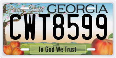 GA license plate CWT8599