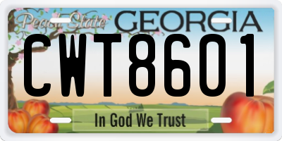 GA license plate CWT8601