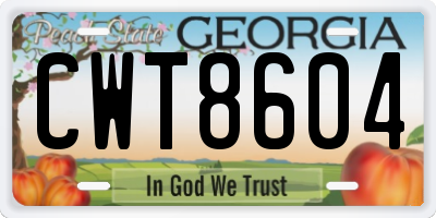 GA license plate CWT8604