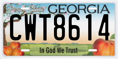 GA license plate CWT8614