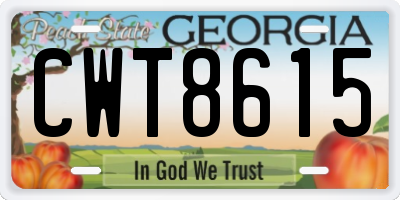 GA license plate CWT8615