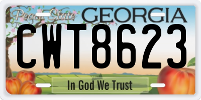 GA license plate CWT8623