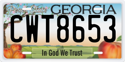 GA license plate CWT8653