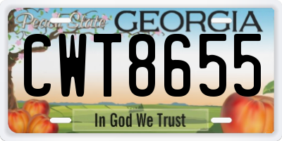 GA license plate CWT8655