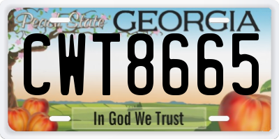 GA license plate CWT8665