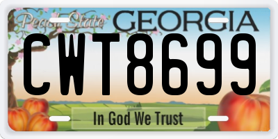 GA license plate CWT8699