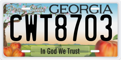 GA license plate CWT8703