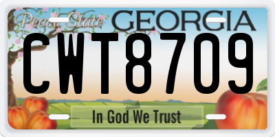 GA license plate CWT8709