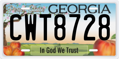 GA license plate CWT8728