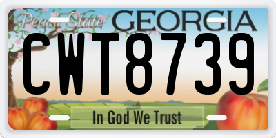 GA license plate CWT8739