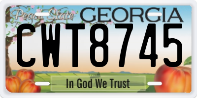 GA license plate CWT8745