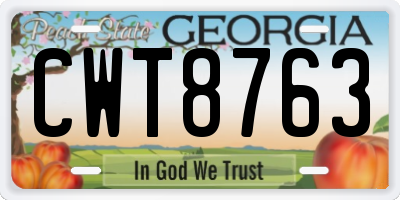 GA license plate CWT8763