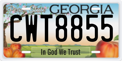 GA license plate CWT8855