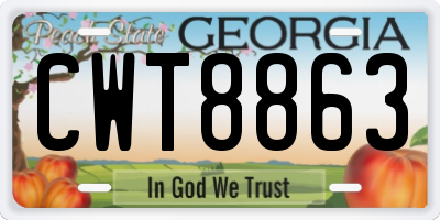 GA license plate CWT8863