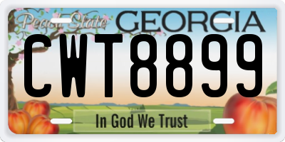 GA license plate CWT8899
