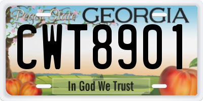 GA license plate CWT8901