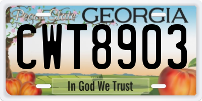 GA license plate CWT8903
