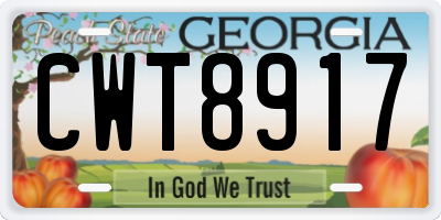 GA license plate CWT8917