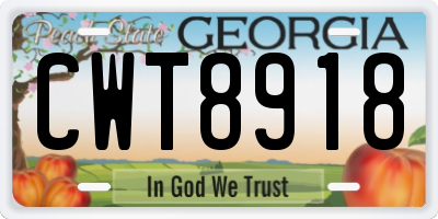 GA license plate CWT8918