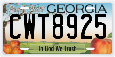 GA license plate CWT8925