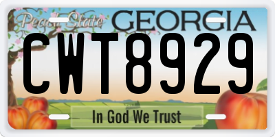 GA license plate CWT8929