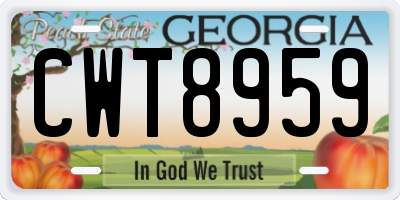 GA license plate CWT8959