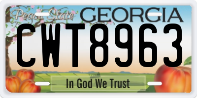 GA license plate CWT8963