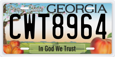 GA license plate CWT8964