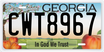 GA license plate CWT8967