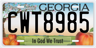 GA license plate CWT8985