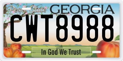 GA license plate CWT8988