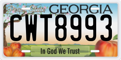 GA license plate CWT8993