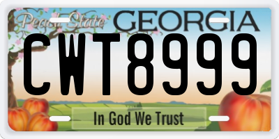 GA license plate CWT8999