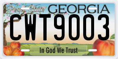 GA license plate CWT9003