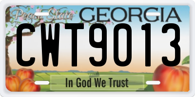 GA license plate CWT9013