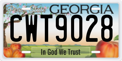 GA license plate CWT9028